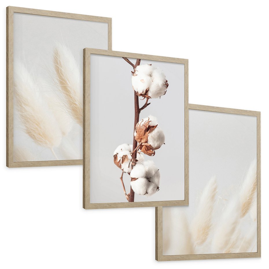 Zestaw obrazy w ramie, plakaty - bawełna, trawa, puszysty - rama drewno