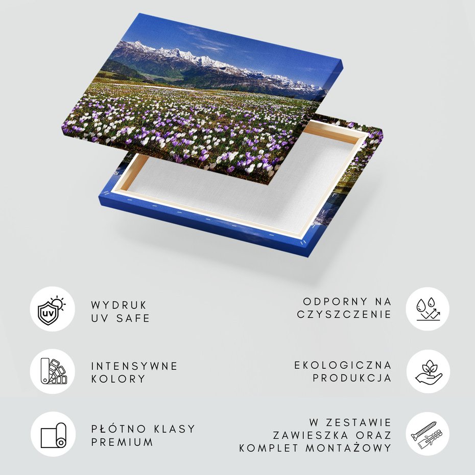 Obraz na płótnie - kwiaty, góry, krajobraz