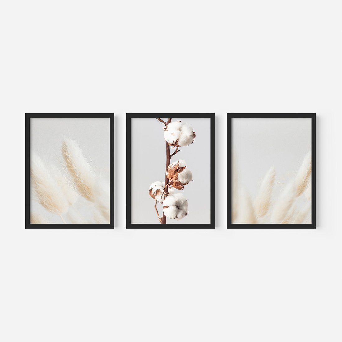 Zestaw obrazy w ramie, plakaty - bawełna, trawa, puszysty - rama czarna