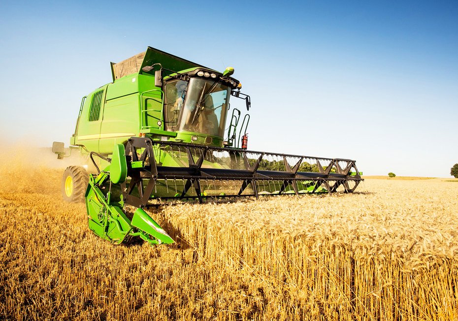 Fototapeta - żniwa, kombajn, pole