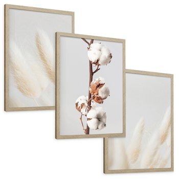 Zestaw obrazy w ramie, plakaty - bawełna, trawa, puszysty - rama drewno