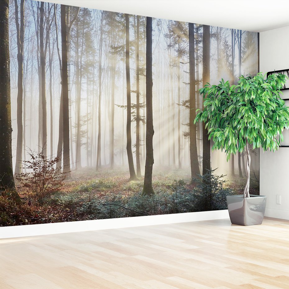 Fototapeta - las, mgła, drzewa