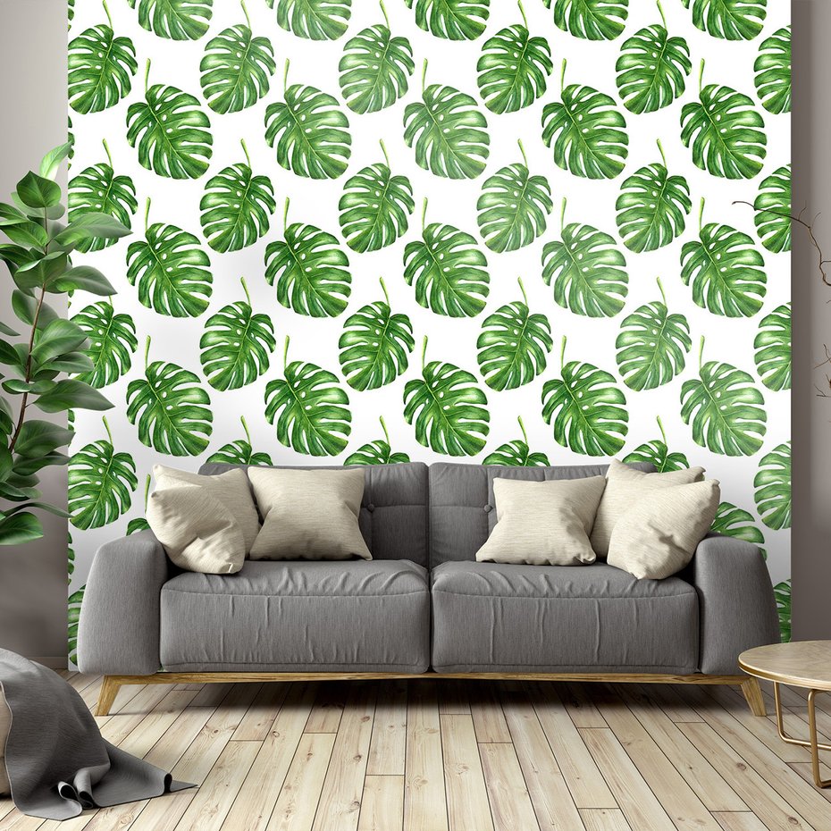 Tapeta - liście, monstera, wzór