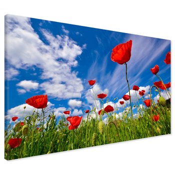 Obraz na płótnie - maki, kwiaty, lato