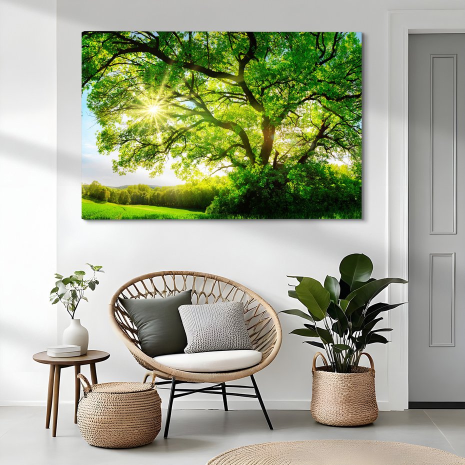 Obraz na płótnie - drzewo, słońce, natura