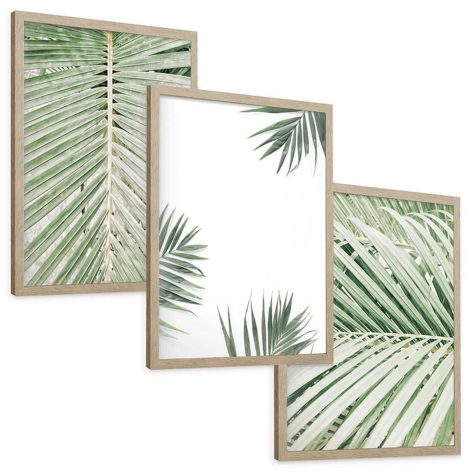 Zestaw obrazy w ramie, plakaty - liście, palmy, tropikalne - rama drewno