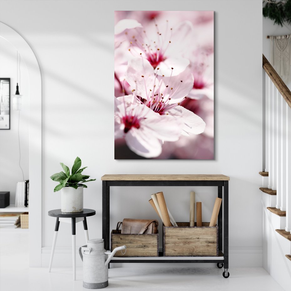 Obraz na płótnie - kwiat, wiosna, delikatność