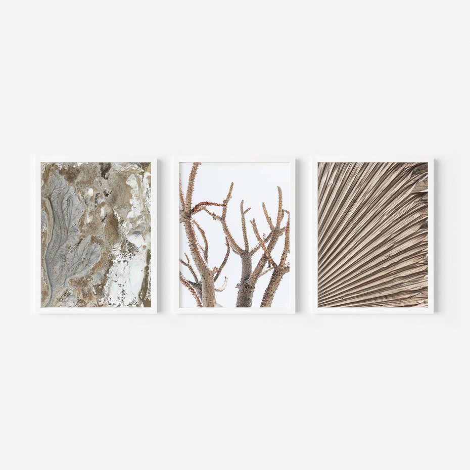 Zestaw obrazy w ramie, plakaty - abstrakcja, roślina, natura - rama biała