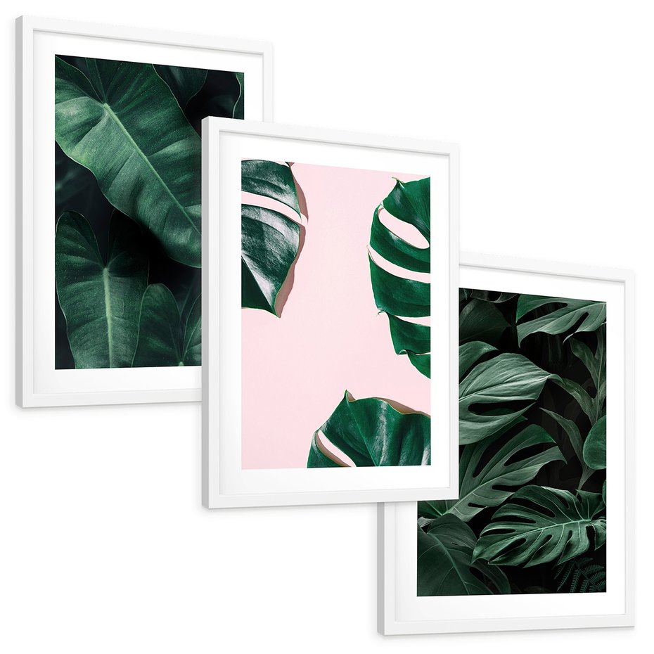 Zestaw obrazy w ramie, plakaty - liście, monstera, rośliny - rama biała