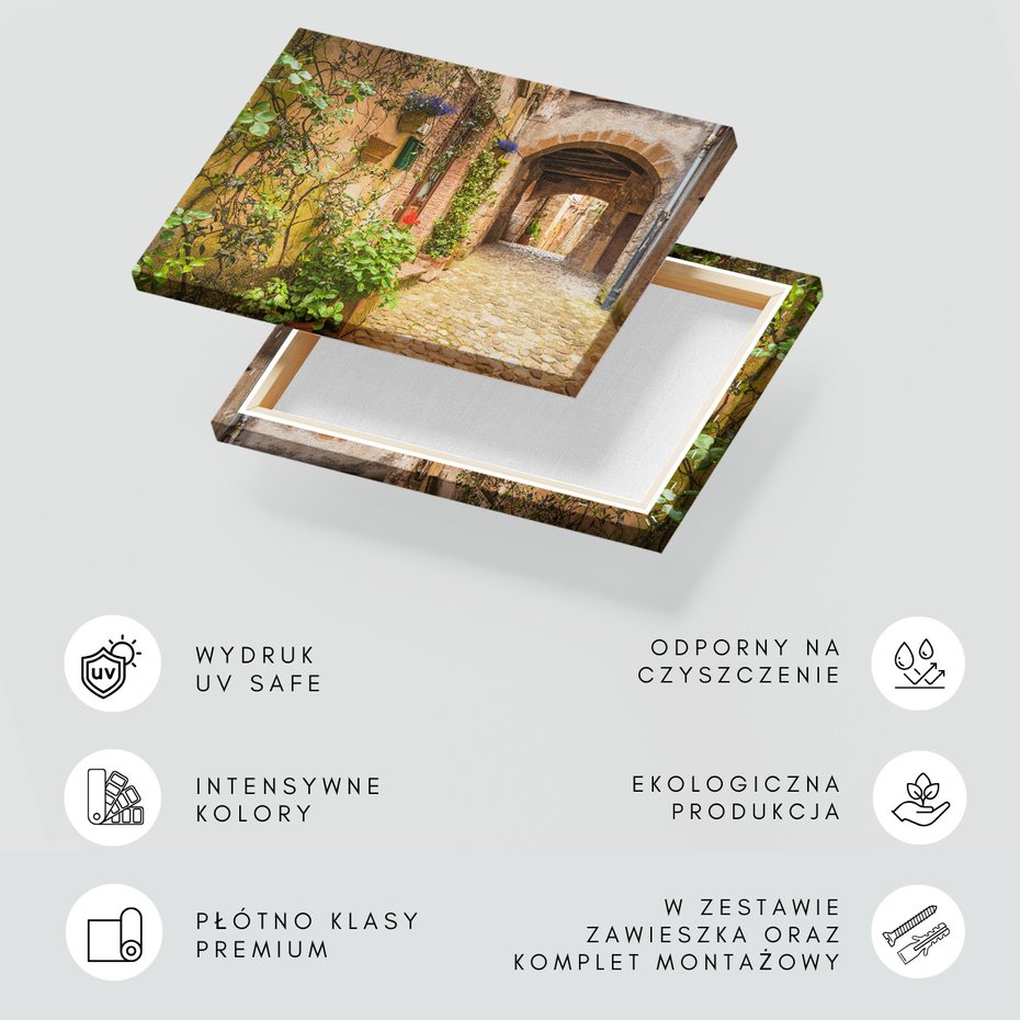 Obraz na płótnie - uliczka, kwiaty, kamień