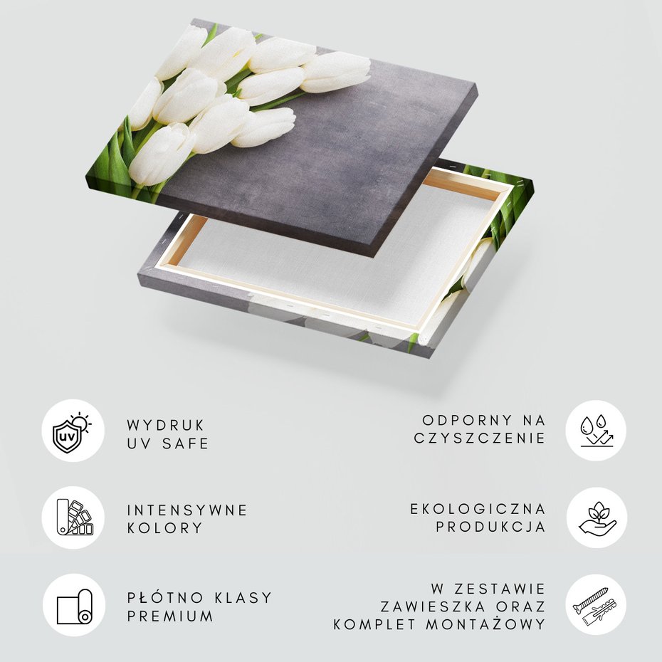 Obraz na płótnie - tulipany, kwiaty, białe