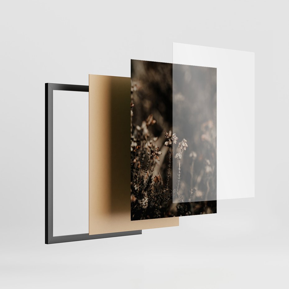 Zestaw obrazy w ramie, plakaty - przyroda, rośliny, natura - rama czarna