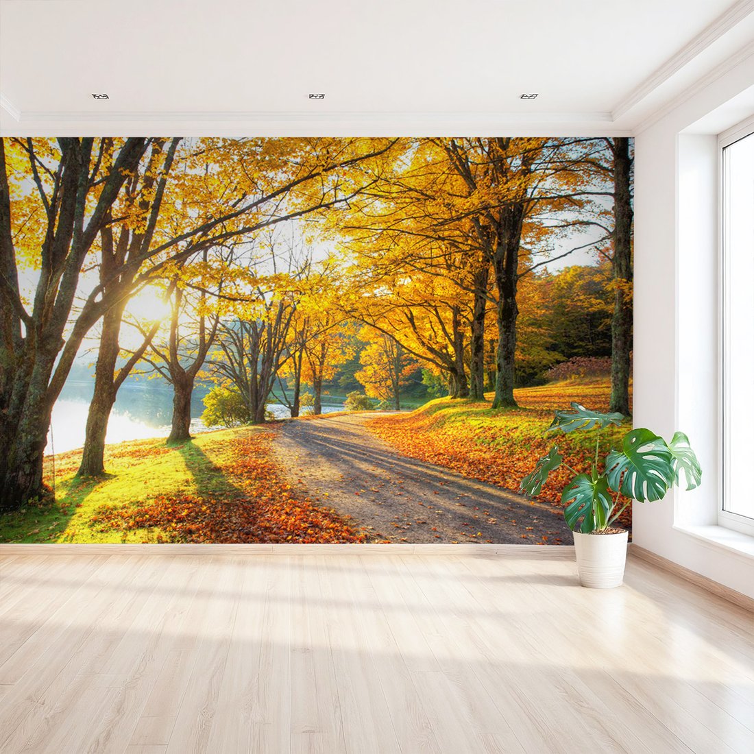 Fototapeta - jesień, liście, drzewa