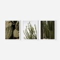 Zestaw obrazy w ramie, plakaty - kaktusy, rośliny, zielony - rama biała