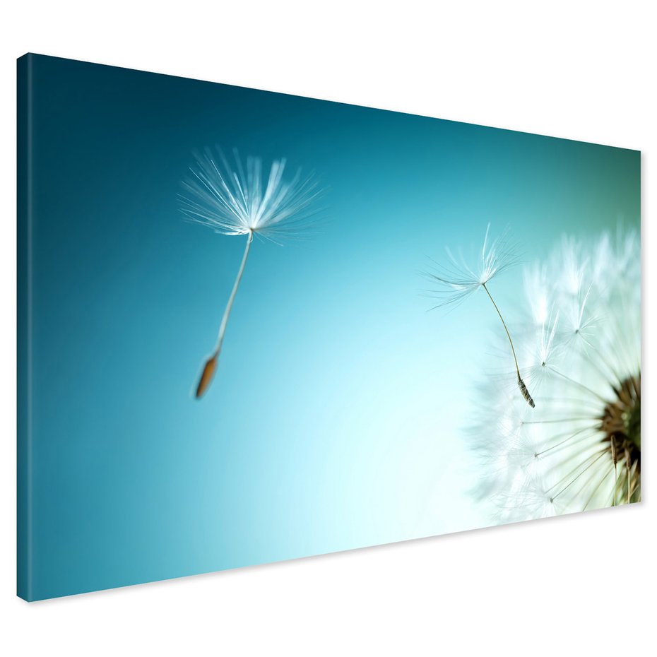 Obraz na płótnie - dmuchawiec, nasiona, natura