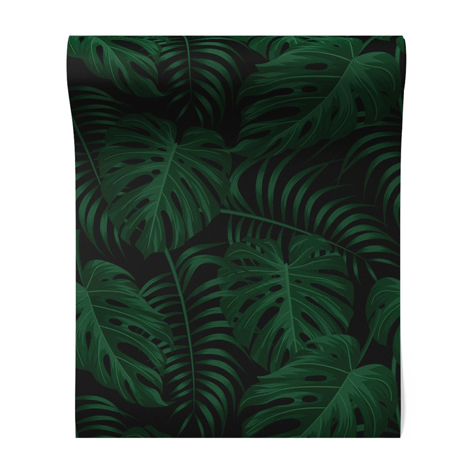 Tapeta - liście, monstera, roślinność