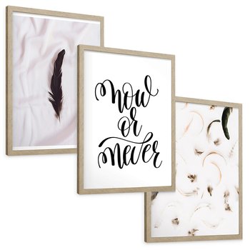 Zestaw obrazy w ramie, plakaty - pióro, minimalizm, tło - rama drewno