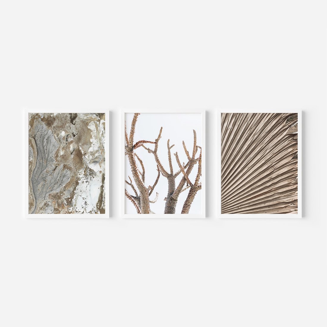 Zestaw obrazy w ramie, plakaty - abstrakcja, roślina, natura - rama biała