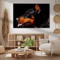 Obraz na płótnie - doberman, pies, portret