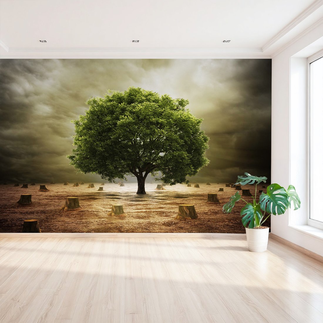 Fototapeta - drzewo, pniaki, natura