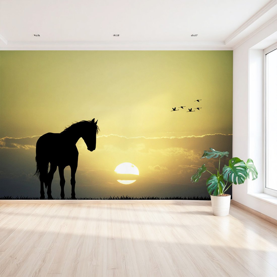 Fototapeta - koń, zachód słońca, ptaki