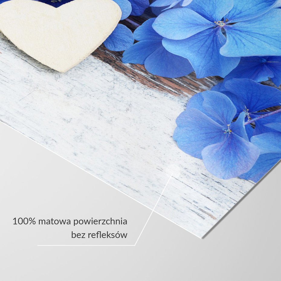 Fototapeta - hortensje, serce, kwiaty