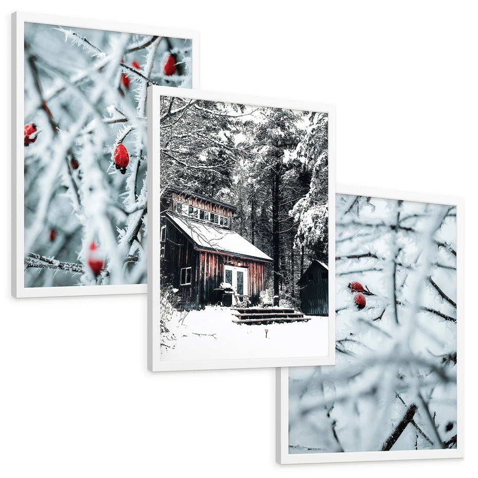 Zestaw obrazy w ramie, plakaty - zima, śnieg, mróz - rama biała