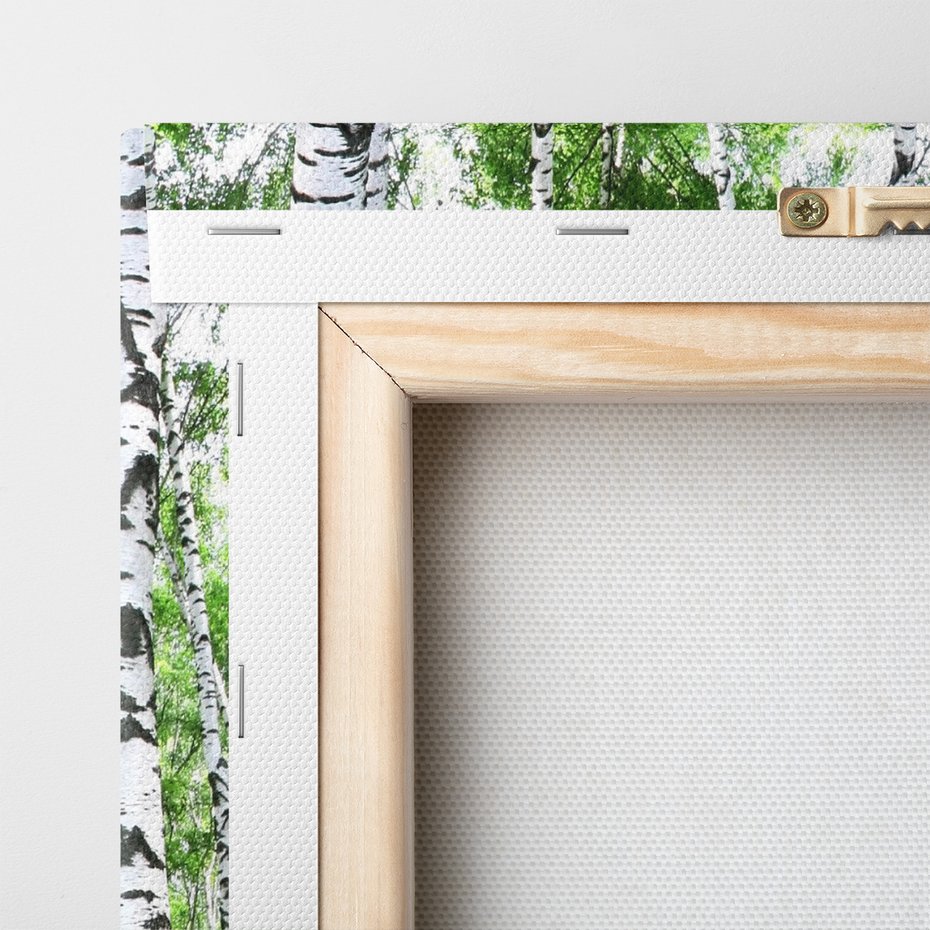 Obraz na płótnie - las, brzozy, natura