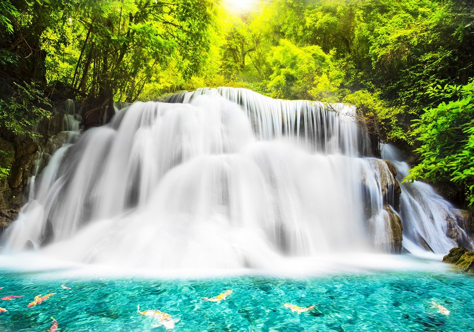 Fototapeta - wodospad, las, woda