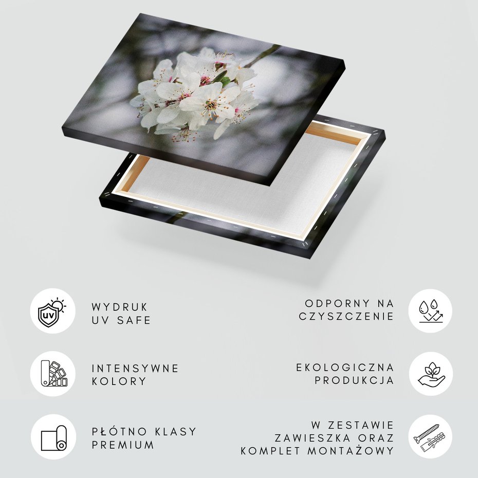 Obraz na płótnie - kwiaty, białe kwiaty, wiosna