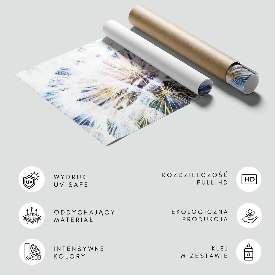 Fototapeta - dmuchawiec, natura, abstrakcja