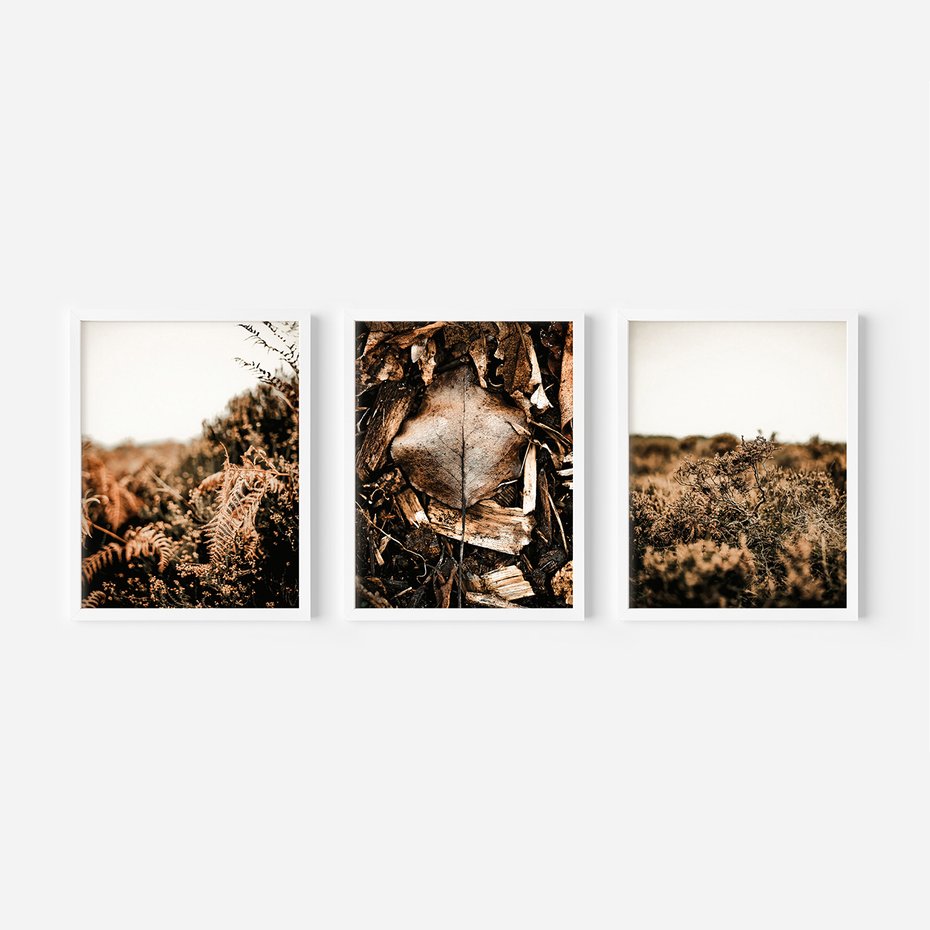 Zestaw obrazy w ramie, plakaty - liście, roślinność, brązowy - rama biała