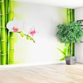 Fototapeta - bambus, orchidee, kwiaty