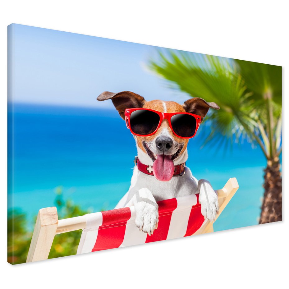 Obraz na płótnie - pies, okulary, plaża