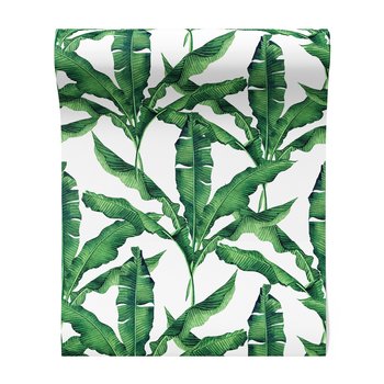 Tapeta - liście, rośliny, natura