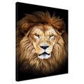 Obraz na płótnie - lew, portret, zwierzę