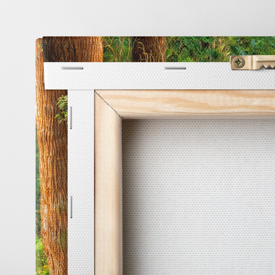 Obraz na płótnie - las, drzewa, ścieżka