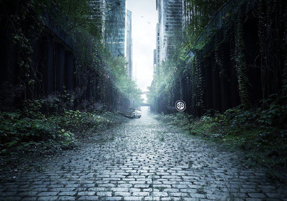 Fototapeta - miasto, ruina, zieleń