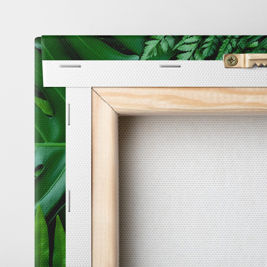 Obraz na płótnie - liście, rośliny, zielony