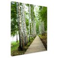 Obraz na płótnie - las, brzozy, ścieżka