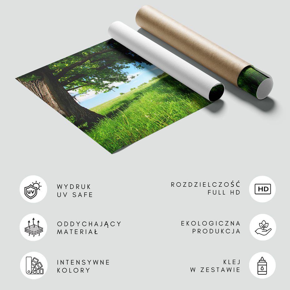 Fototapeta - drzewo, łąka, zielony