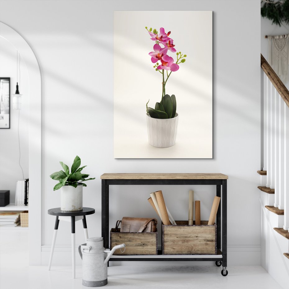 Obraz na płótnie - kwiat, doniczka, roślina