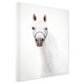 Obraz na płótnie - koń, zwierzę, portret