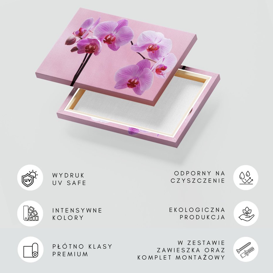 Obraz na płótnie - kwiaty, orchidee, różowy