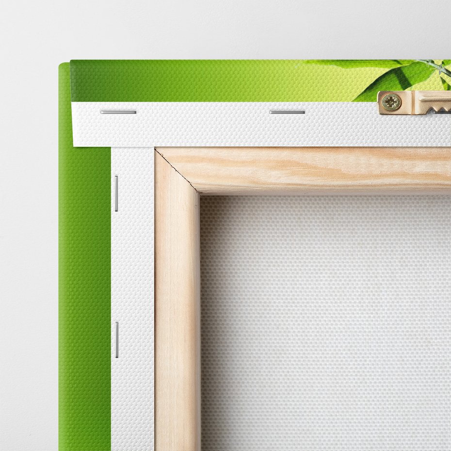 Obraz na płótnie - bambus, kamienie, kwiaty