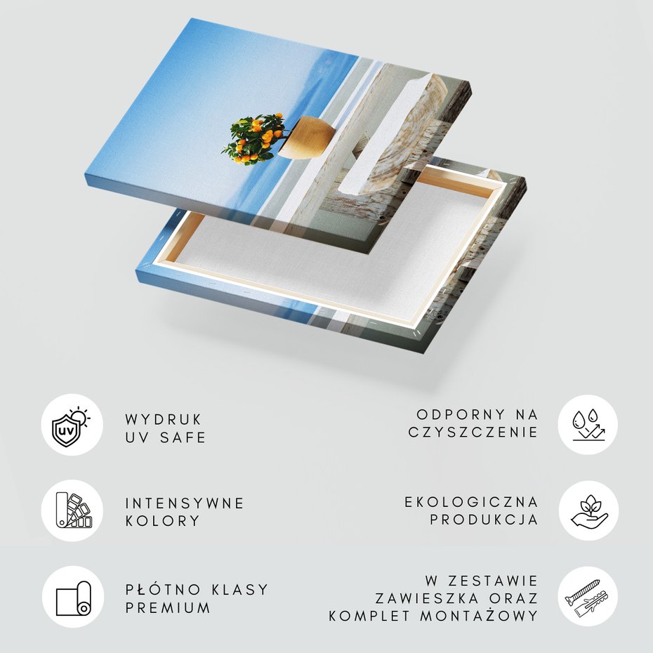 Obraz na płótnie - roślina, morze, niebo