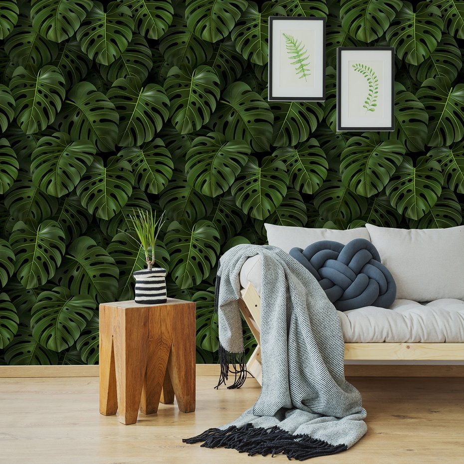 Tapeta - liście, monstera, tropiki