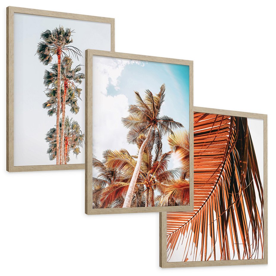 Zestaw obrazy w ramie, plakaty - palmy, tropikalny, lato - rama drewno