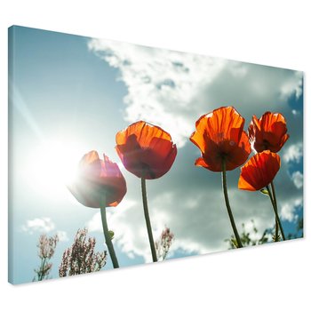 Obraz na płótnie - maki, kwiaty, niebo