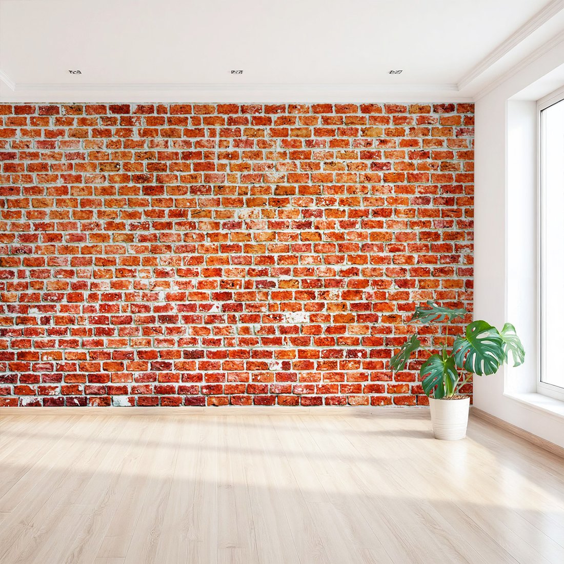 Fototapeta - ściana, cegły, tekstura